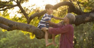 Grandfather lifting a child out of a tree